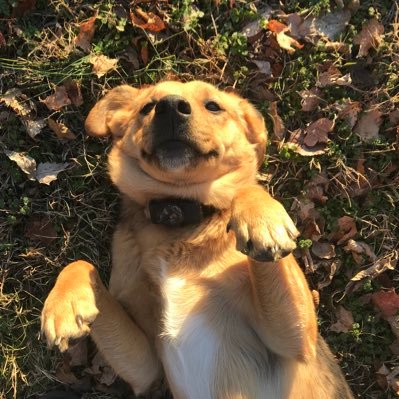 Autumnicoleb's profile picture. UTC ‘24