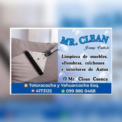 Servicio de lavado a domicilio d muebles, alfombras, sofa camas, sillas,colchones e interiores de auto en Cuenca 074173125 - 0998850468 WhatsApp. Azuay - Cañar