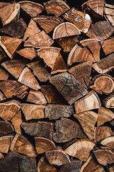 WOhvw0pvu9tqBMx's profile picture. 