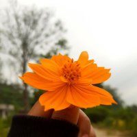 _Anu (@_anumagar62) 's Twitter Profile
