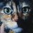 やまねこのアイコン