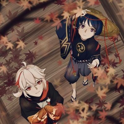 ilexisさんのプロフィール画像