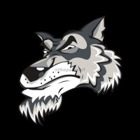 WOLF™️ (@thepakwolf) 's Twitter Profile Photo WOLF™️ (@thepakwolf) 's Twitter Profile Photo