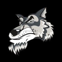 WOLF™️(@thepakwolf) 's Twitter Profile Photo