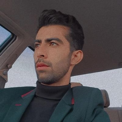 به خود می بالم که ایرانی هستم
و از نژاد پاک آریایی.
