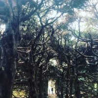 らのあ (@fdciijxruhc) Twitter profile photo