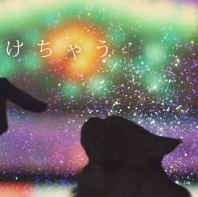シャムたろうさんのプロフィール画像