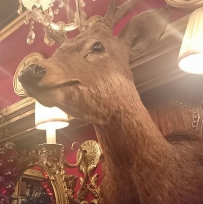基本またりとやってきますよー 。ヲタ的なことは少々嗜んでおります。色々興味持ってフラフラしています。お気軽に声掛けてくださいー。めっちゃ無言でフォローしててすいません…ただのコミュ障なのです…(´・ω・`)20↑