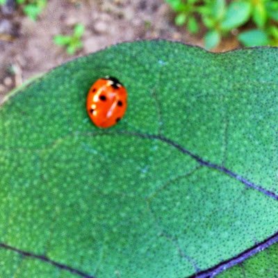 GawronPamela's profile picture. 