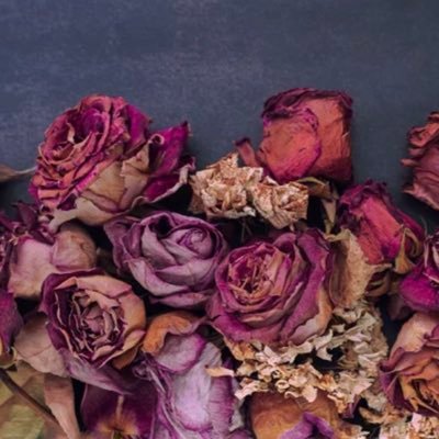 Czech_M8's profile picture. 13 Dead Roses