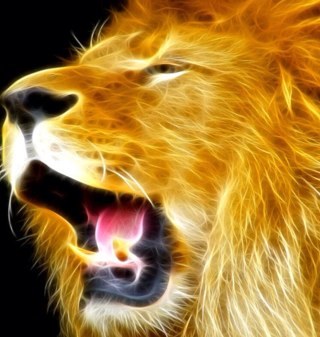 ButEvenNot's profile picture. 