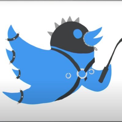 RopeDreams's profile picture. Lover of rope, chain and leather; blog reader;  Columbus & St Pete Beach