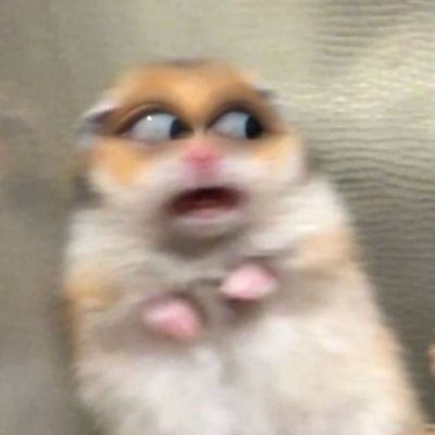 LmpDmSA's profile picture. 💐🎃✨