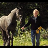 StevCia ...kind of a horse whisperer (@stevcia) 's Twitter Profile