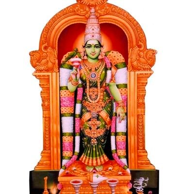 jprmithran's profile picture. 22/01/1981