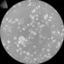 Haematopoiesis and Immunity Lab (@hi_lab_ncl) Twitter profile photo Haematopoiesis and Immunity Lab (@hi_lab_ncl) Twitter profile photo
