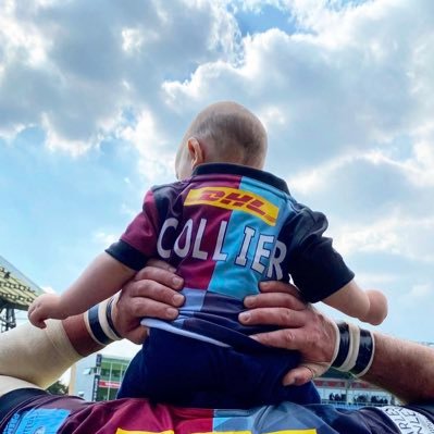 William_Collier's profile picture. @harlequins @pigstyuk