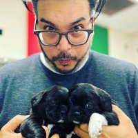Jeff (@voxjeffvoxdei) 's Twitter Profile