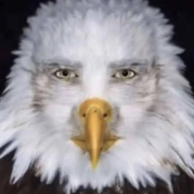 Dg250136993's profile picture. .   .
  ^