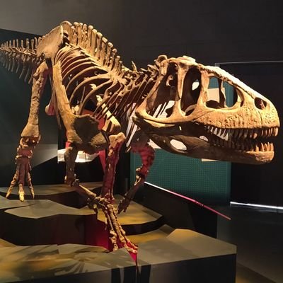 HellspawnBlade's profile picture. 