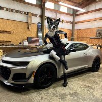 Zoey Wusky πππ€ππ (@zoeywuskyad) 's Twitter Profile