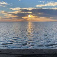 Doaa ali (@doaaali1029) 's Twitter Profile