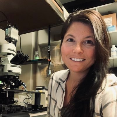 Synaptic physiology ⚡️postdoc Kaeser Lab @harvardmed | PhD Schnell lab @VollumInstitute & cofounder @a4vdis | #BLM | she/her | go outside 🌿