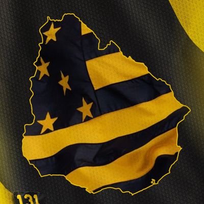 Hincha de PEÑAROL,💛🖤pinche de cuarta (la que trabaja)