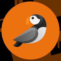 Puffins Esports (@puffinsgg_) 's Twitter Profile