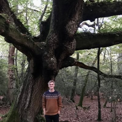 Nature. Wild places. Music. Comms/Campaigns. That sort of thing. Works for more big plants in the world with @WoodlandTrust. Views: own #StrokeSurvivor