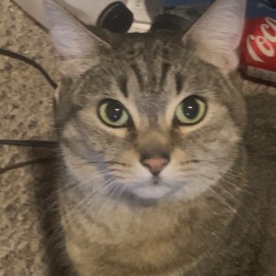 PamelaIrwin's profile picture. 