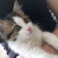 Arzu salkın ısbılen (@arzusalknsblen) Twitter profile photo