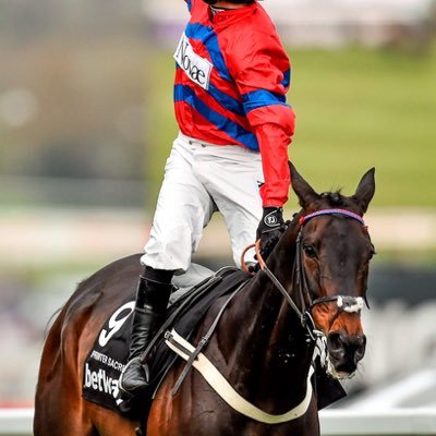 Horse racing enthusiast and Chairman of the Nicky Henderson fan club