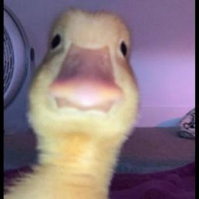 Benjita_2009's profile picture. 