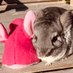 PerfectPamperedPaws (@pampered_paws27) Twitter profile photo PerfectPamperedPaws (@pampered_paws27) Twitter profile photo