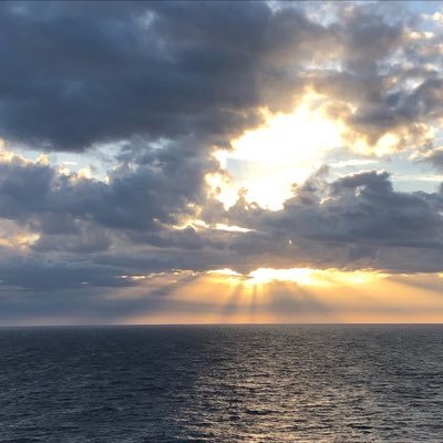 rayoflight104's profile picture. 