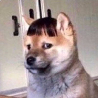 caradri's profile picture. Instagram: caradri96 Snapchat: caradri. Most of the time I have no idea what the f**k I’m doing