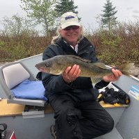joe jr (@zeek5559) 's Twitter Profile