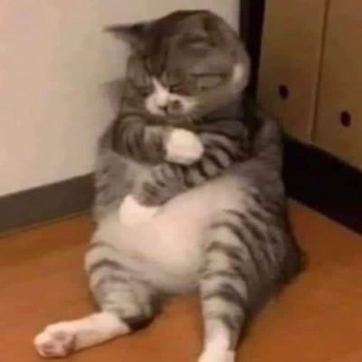 fabiolababv's profile picture. Bibliotecaria