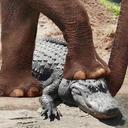 Dustin Bellinger - @DustinBellinger - Twitter