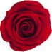 Inthemixnyc (@inthemixnyc1) Twitter profile photo Inthemixnyc (@inthemixnyc1) Twitter profile photo
