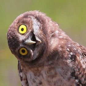 akosiEmz75's profile picture. My Account 💙