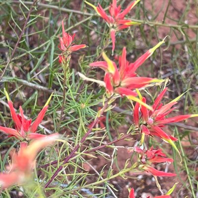 poot96968472's profile picture. America First 🇺🇸