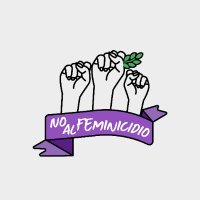No al Feminicidio(@Nofeminicidiomx) 's Twitter Profile Photo