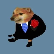 CheemsArgentino's profile picture. Página De Videos Random , humor políticamente incorrecto.
Si no te gusta lo que vez , no lo mires ..!!