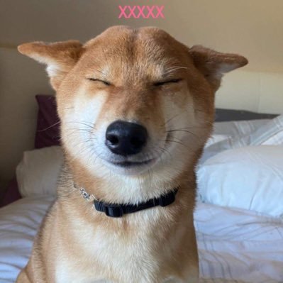 lizzyD2768's profile picture. dogs , cats, living in a forest. finding the truth in a world that is no longer ours . Spreading the Truth to those that cannot see .