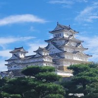 姫路城運営事務所【公式】 (@himejijo_ops_o) 's Twitter Profile Photo 姫路城運営事務所【公式】 (@himejijo_ops_o) 's Twitter Profile Photo