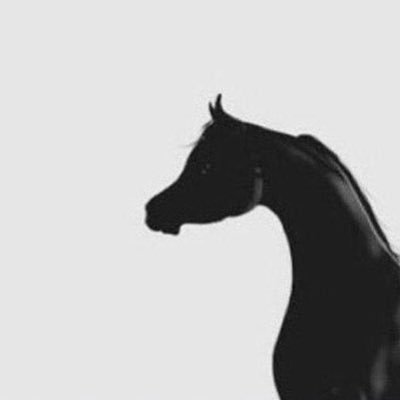 N00RS2's profile picture. 