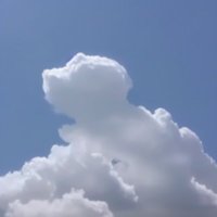 la muerte de un perrito (@nosinventaron) 's Twitter Profile Photo la muerte de un perrito (@nosinventaron) 's Twitter Profile Photo