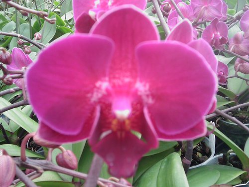 mortplant's profile picture. Fly fisher!
Gardener!